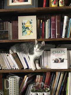 Service : chat Service : chat