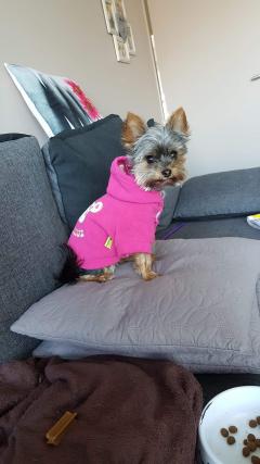 Service : garde enfants Service : garde enfants