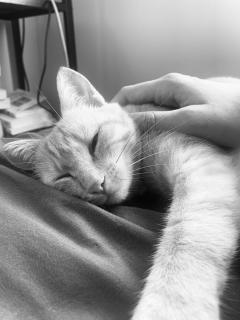 Demander une garde