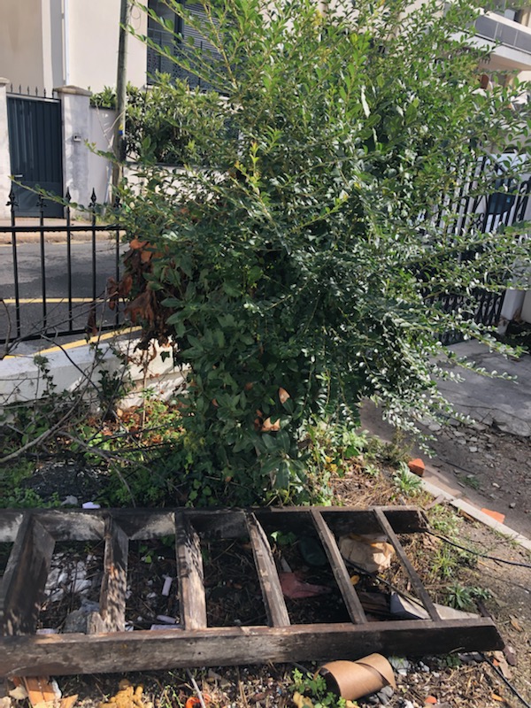 Location tronconneuse 33 entre particuliers