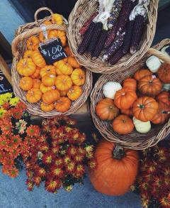 Service : service a personne Service : service a personne