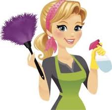 Service menage 35 entre particuliers