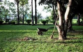 Demander ce jardinier