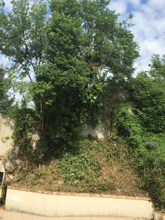 Service : amenagement jardin Service : amenagement jardin