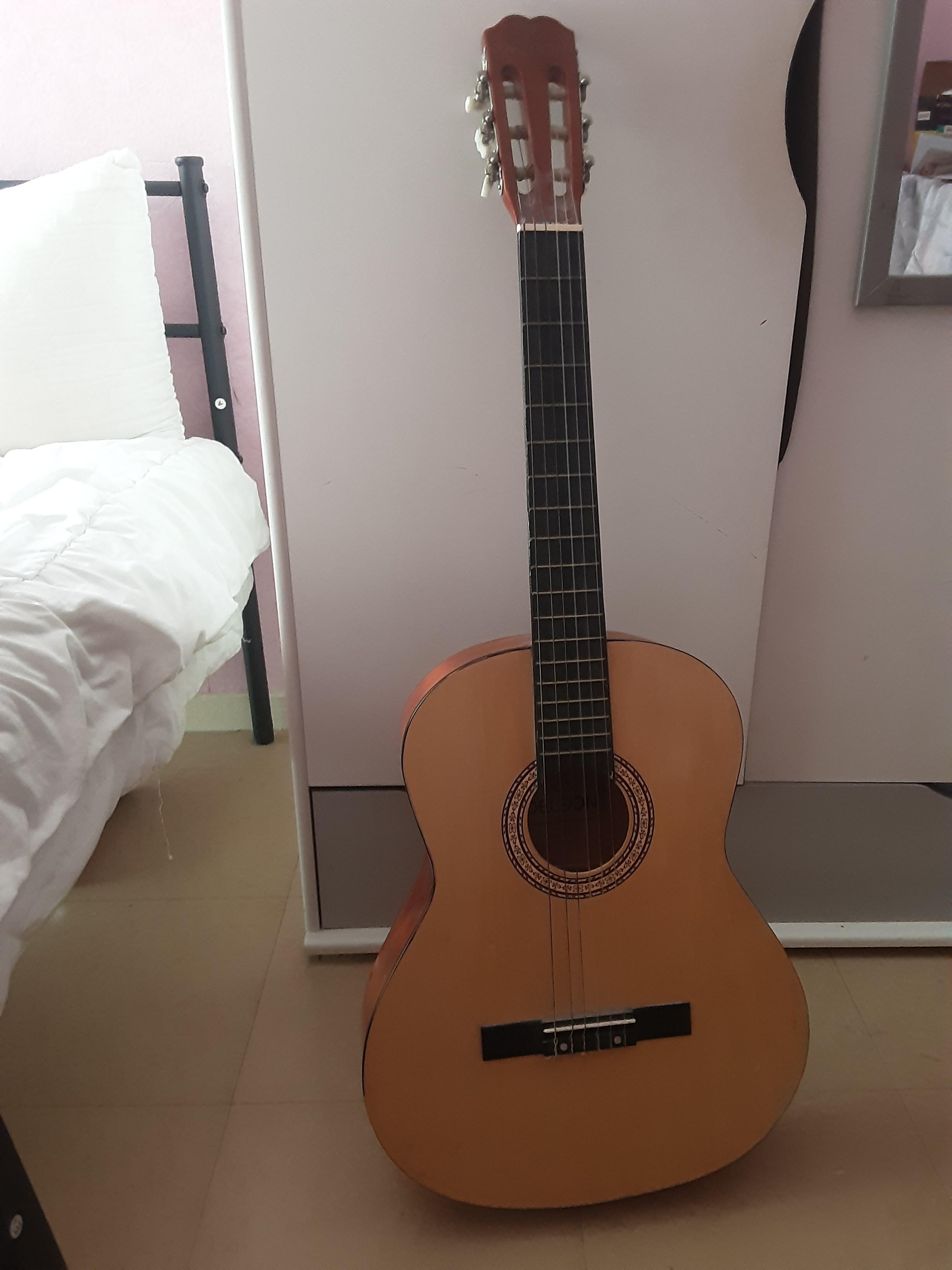 Location guitare 72 entre particuliers