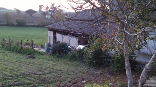 Service charpentier 47 entre particuliers