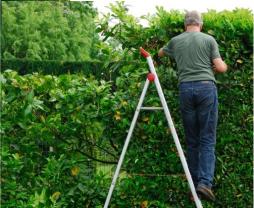 Demander ce jardinier
