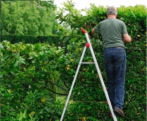 Service entretien jardin 31 entre particuliers