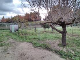 Location jardin potager entre particuliers