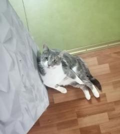 Service : chat Service : chat