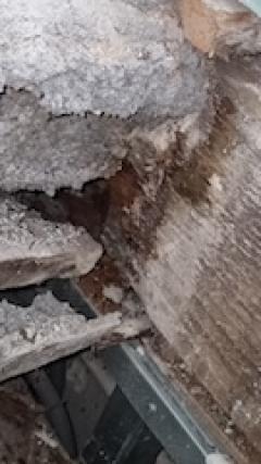 Service : charpentier Service : charpentier