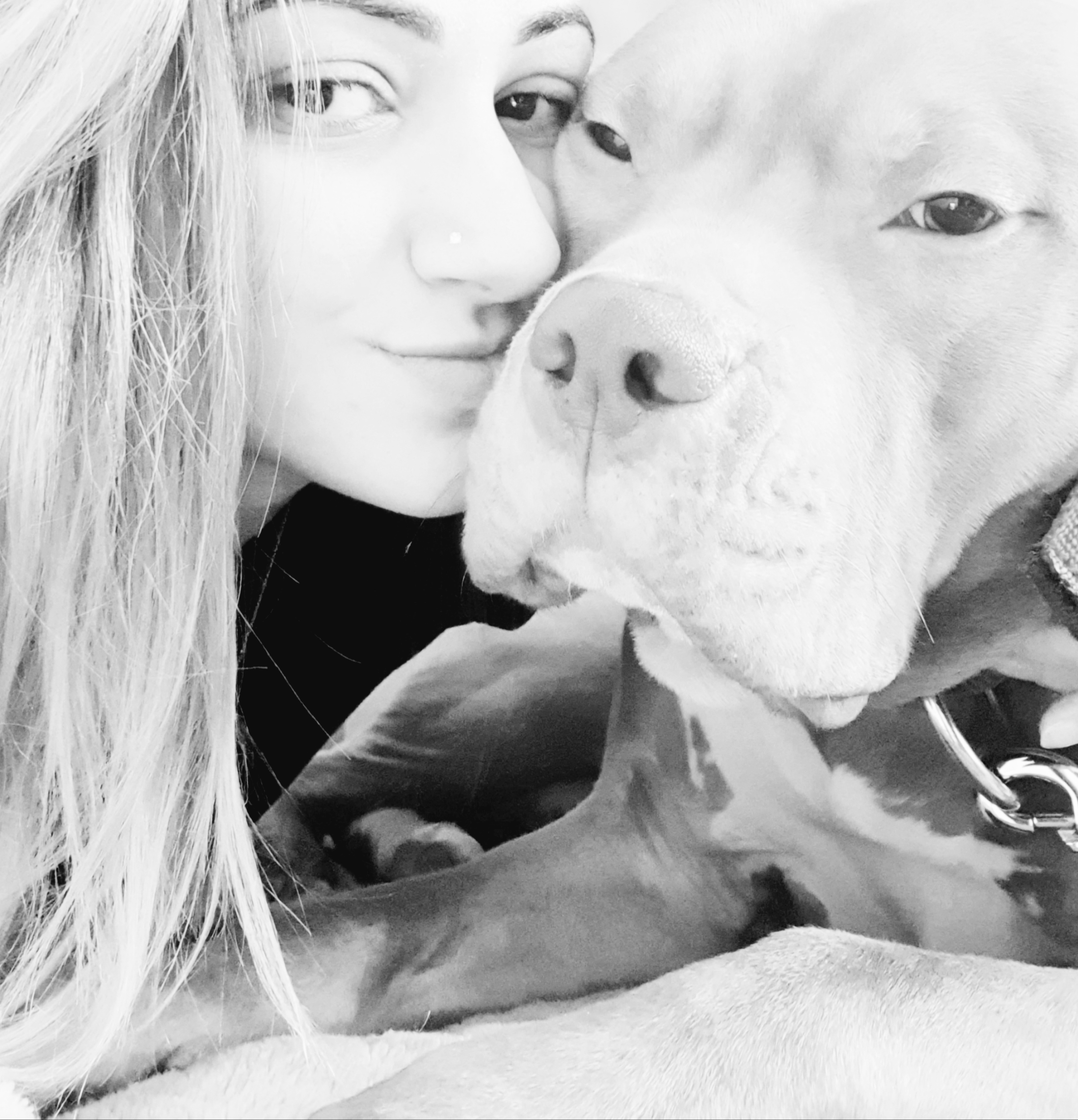 Service aide aux courses 68 entre particuliers