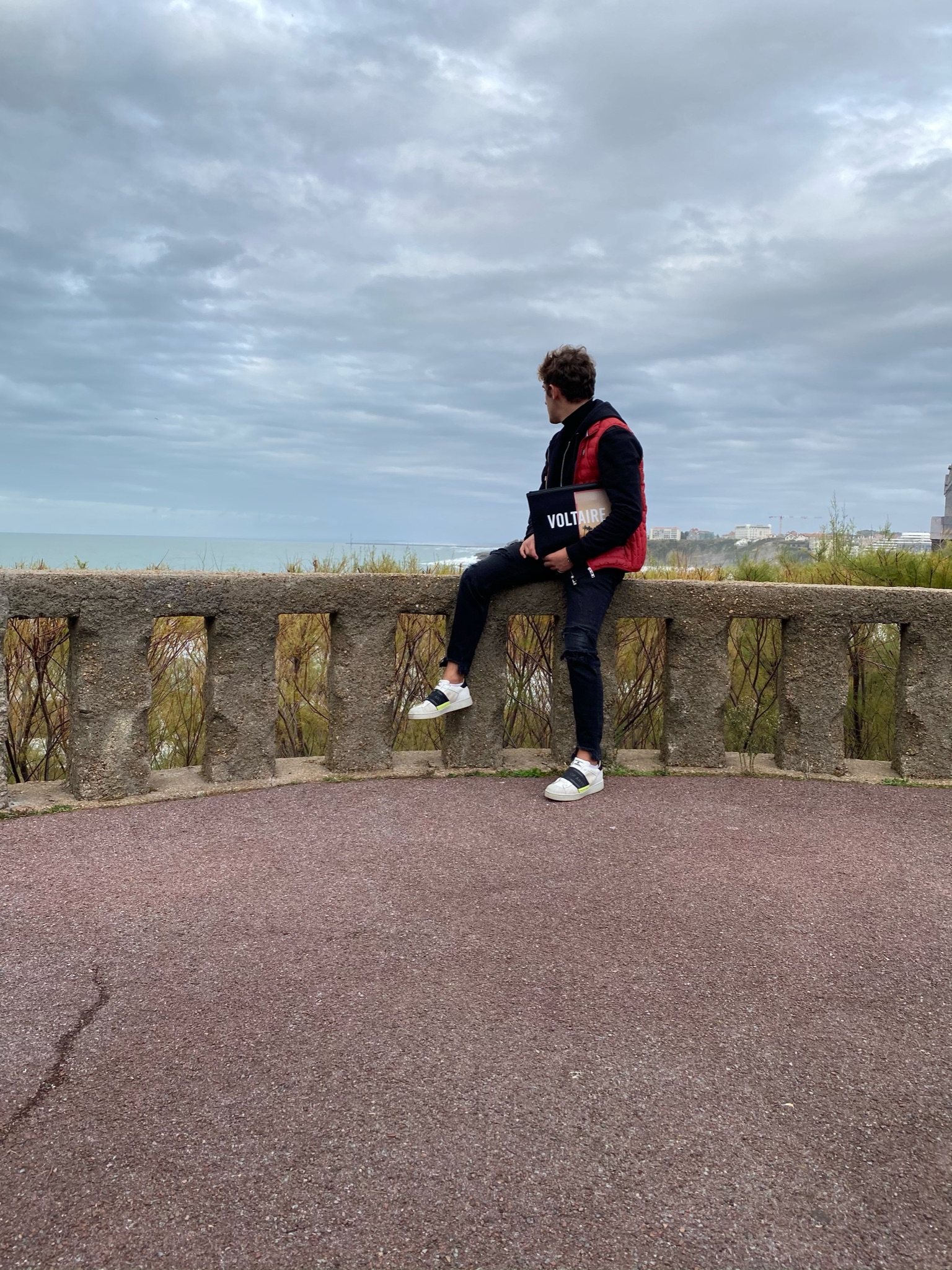 Service chien 31 entre particuliers