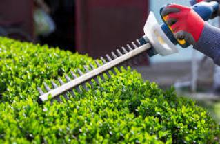 Service : debroussaillage Service : debroussaillage