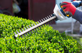 Service debroussaillage 67 entre particuliers