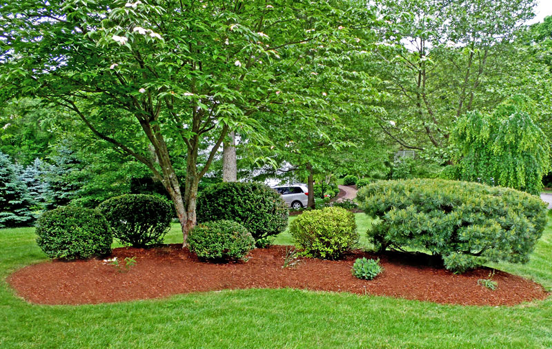 Service entretien jardin 51 entre particuliers