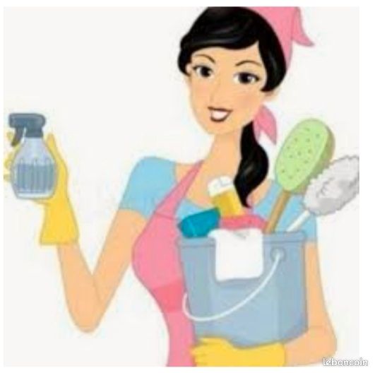Service menage 75 entre particuliers