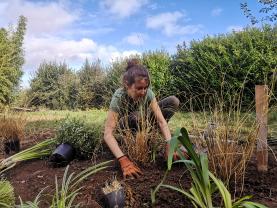 Service amenagement jardin entre particuliers