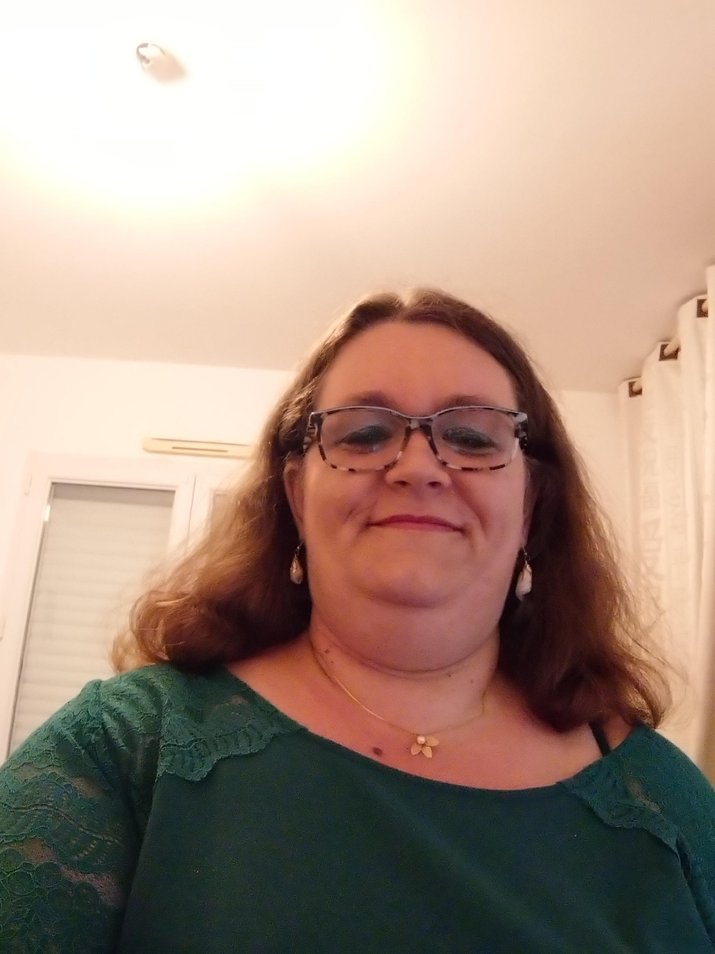 Service repassage 49 entre particuliers