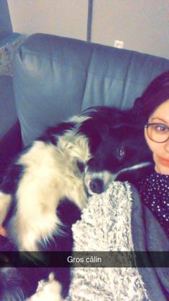 Demander ce petsitter