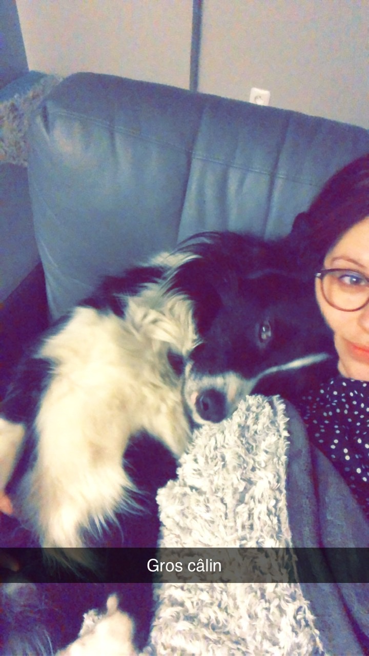 Service chien 60 entre particuliers