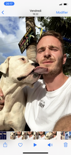 Service : chien Service : chien