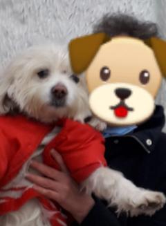 Service : chien Service : chien