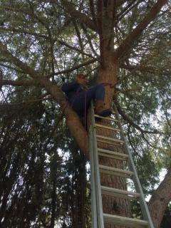 Service : debroussaillage Service : debroussaillage