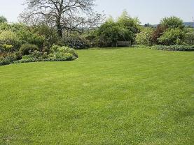 Service : tonte de pelouse Service : tonte de pelouse