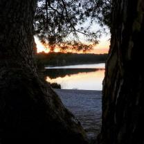 Service : photographie Service : photographie