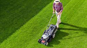 Service entretien espace vert 50 entre particuliers