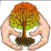 Service : entretien espace vert Service : entretien espace vert