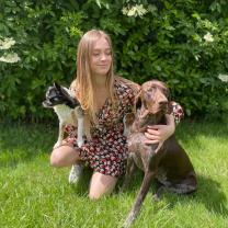 Service : garde animaux Service : garde animaux