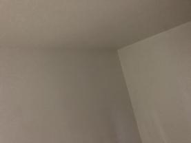 Service : peintre Service : peintre