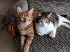 Service : chat Service : chat