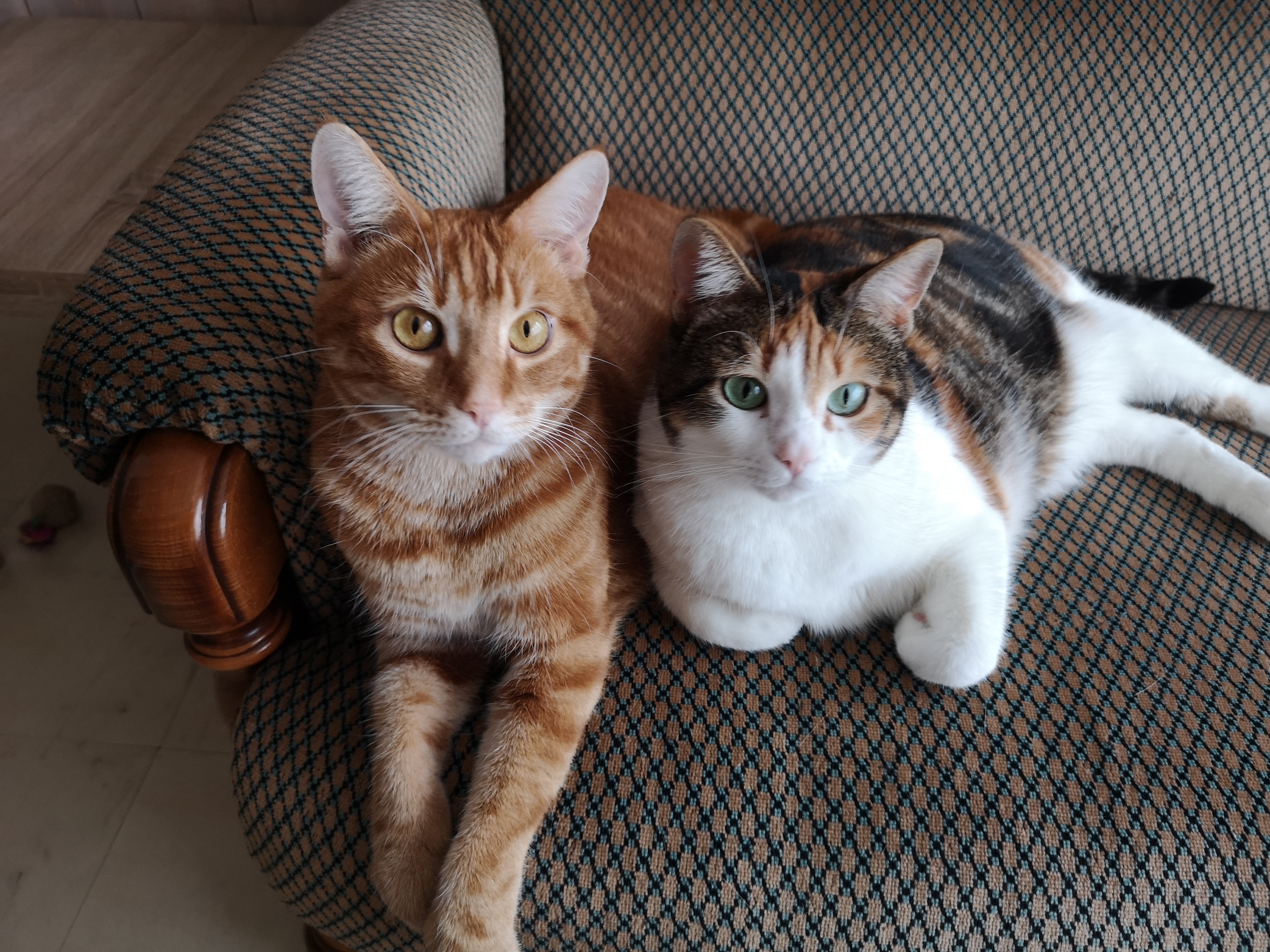 Service chat 78 entre particuliers