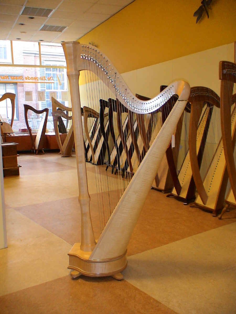 Location instrument musique 67 entre particuliers