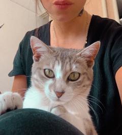 Service : garde animaux Service : garde animaux