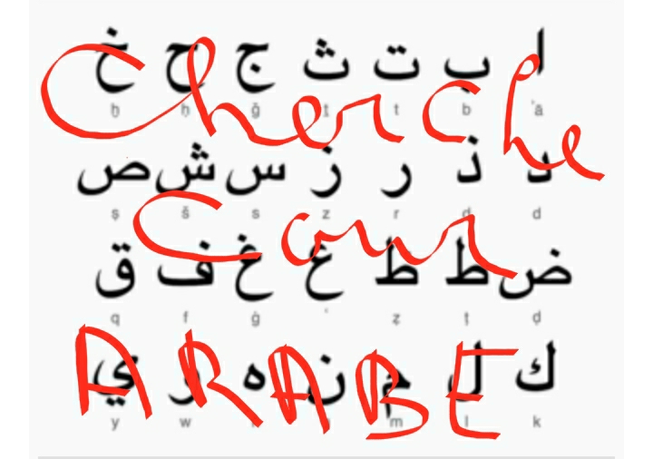 Service cours de langue 54 entre particuliers