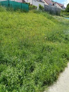 Location : coupe bordures Location : coupe bordures