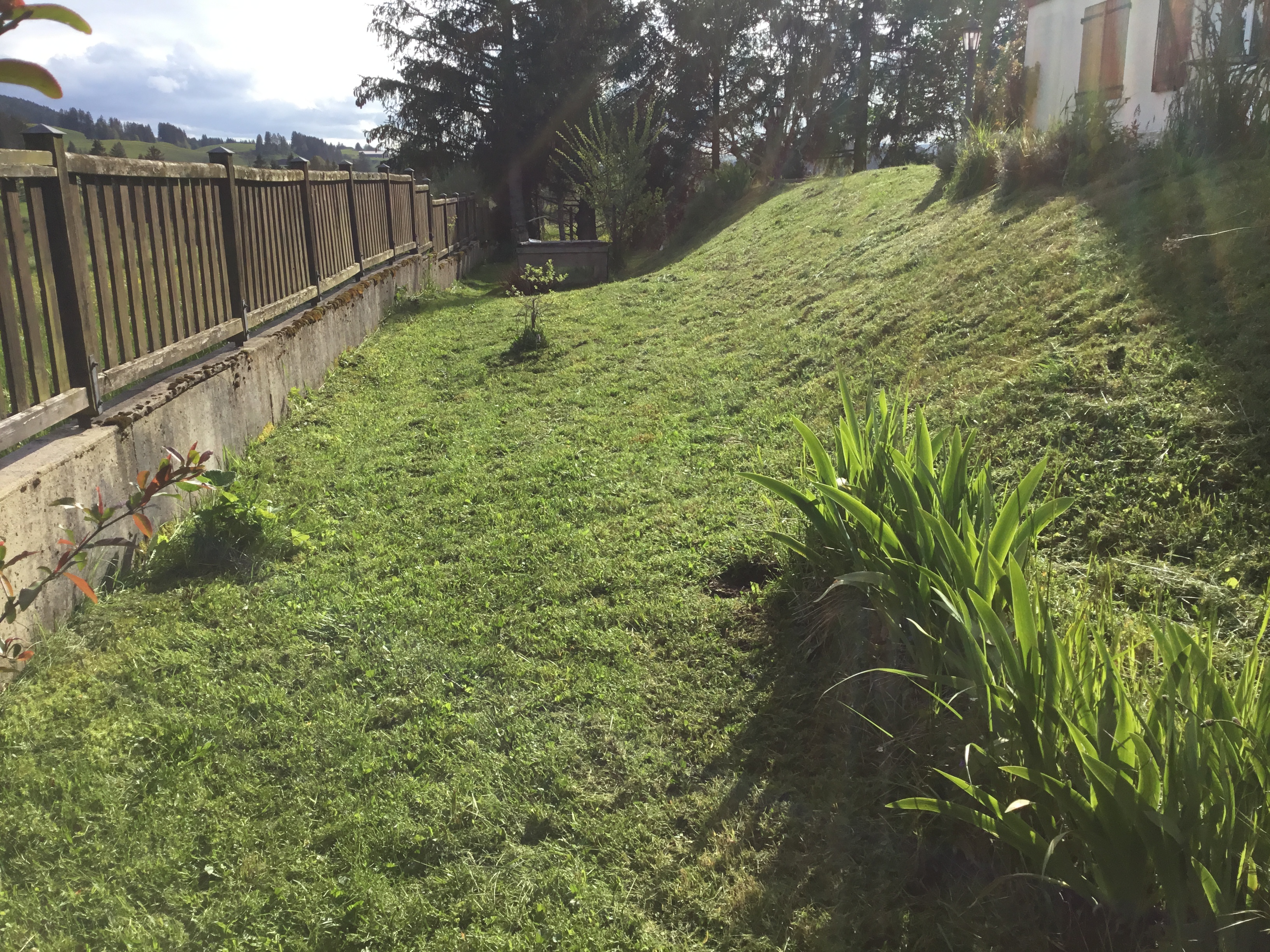 Service entretien jardin 25 entre particuliers