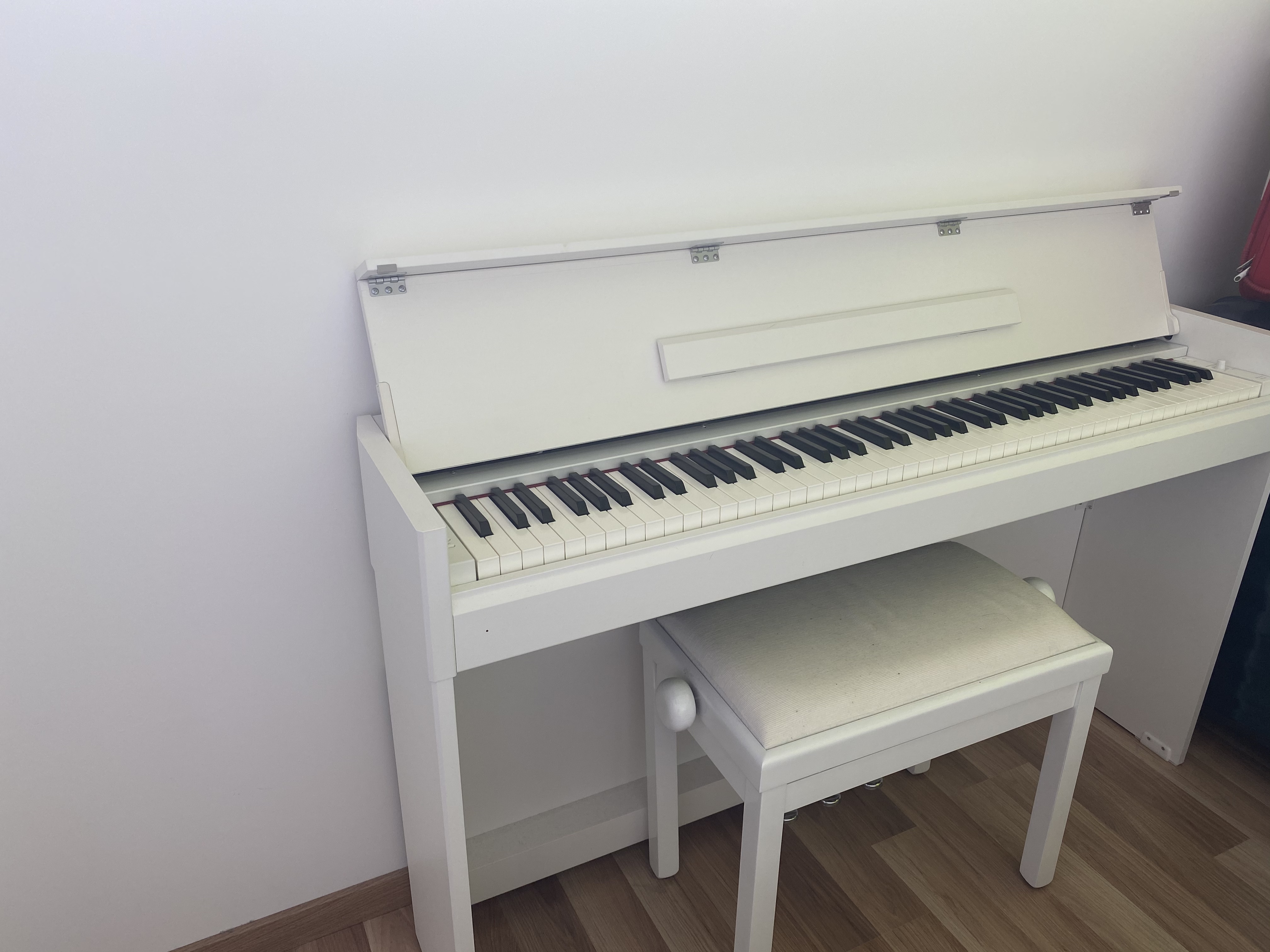 Location instrument musique 29 entre particuliers