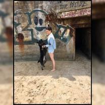 Service : chien Service : chien