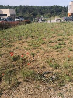 Service : amenagement jardin Service : amenagement jardin