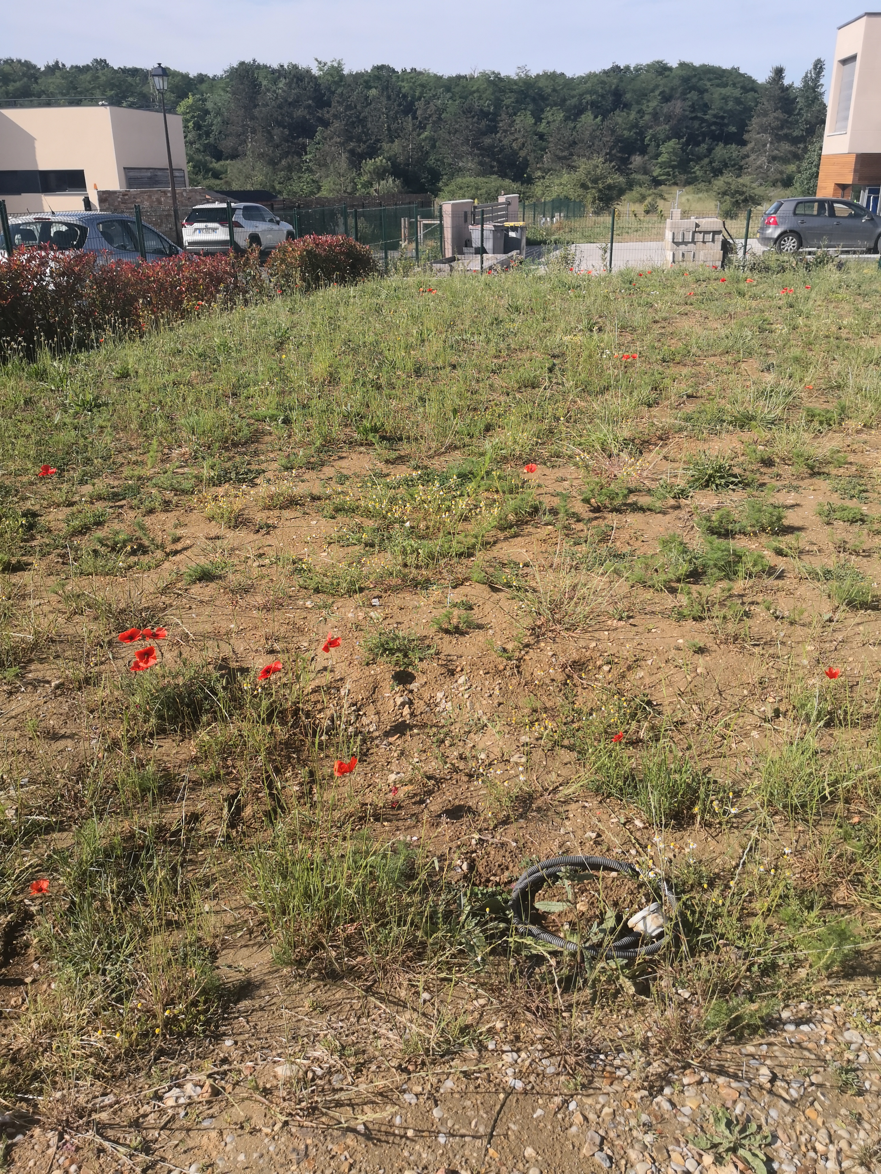 Service amenagement jardin 77 entre particuliers