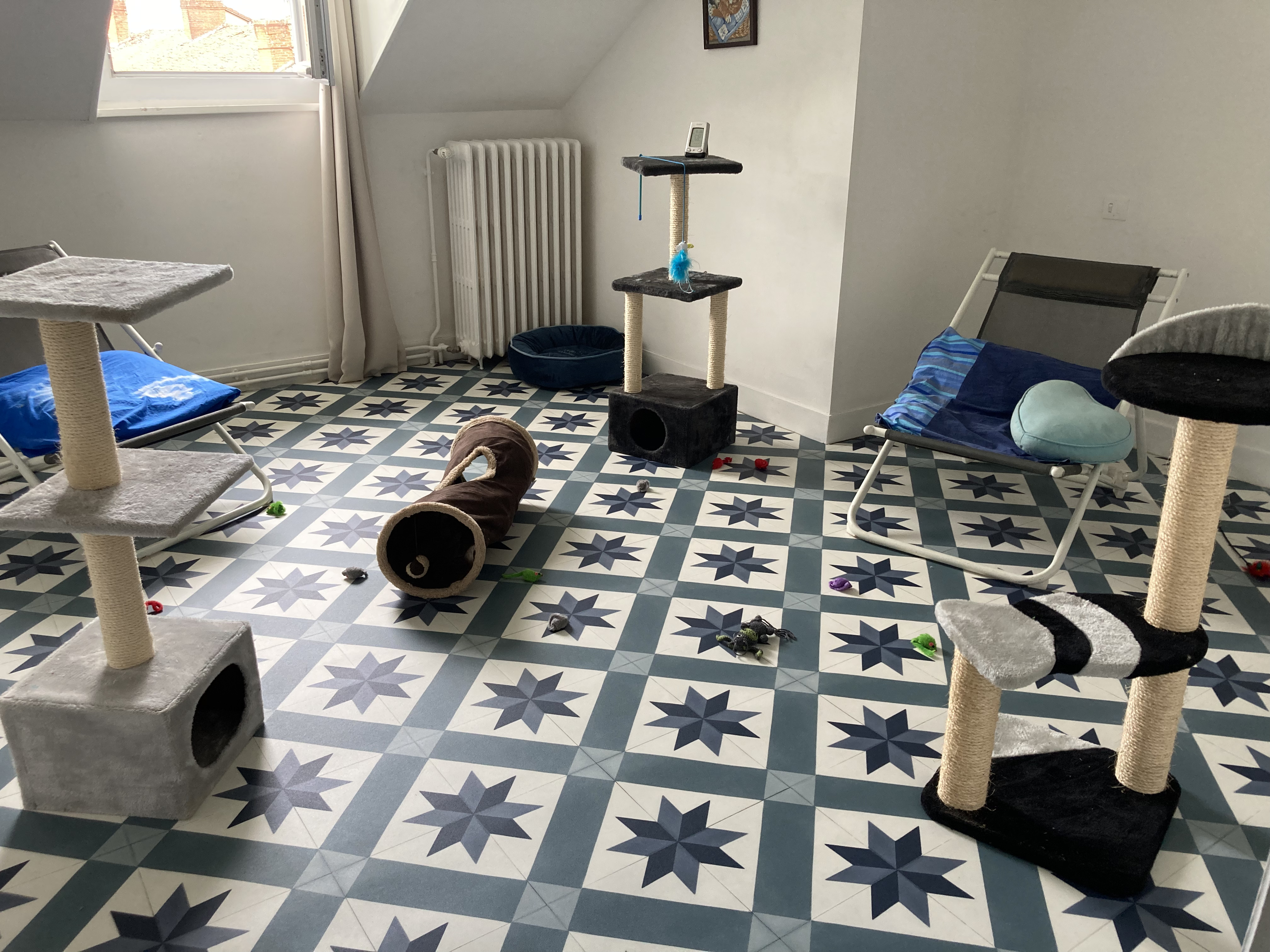 Service chat 87 entre particuliers