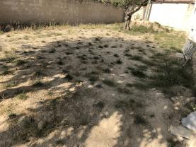 Location : minipelle Location : minipelle