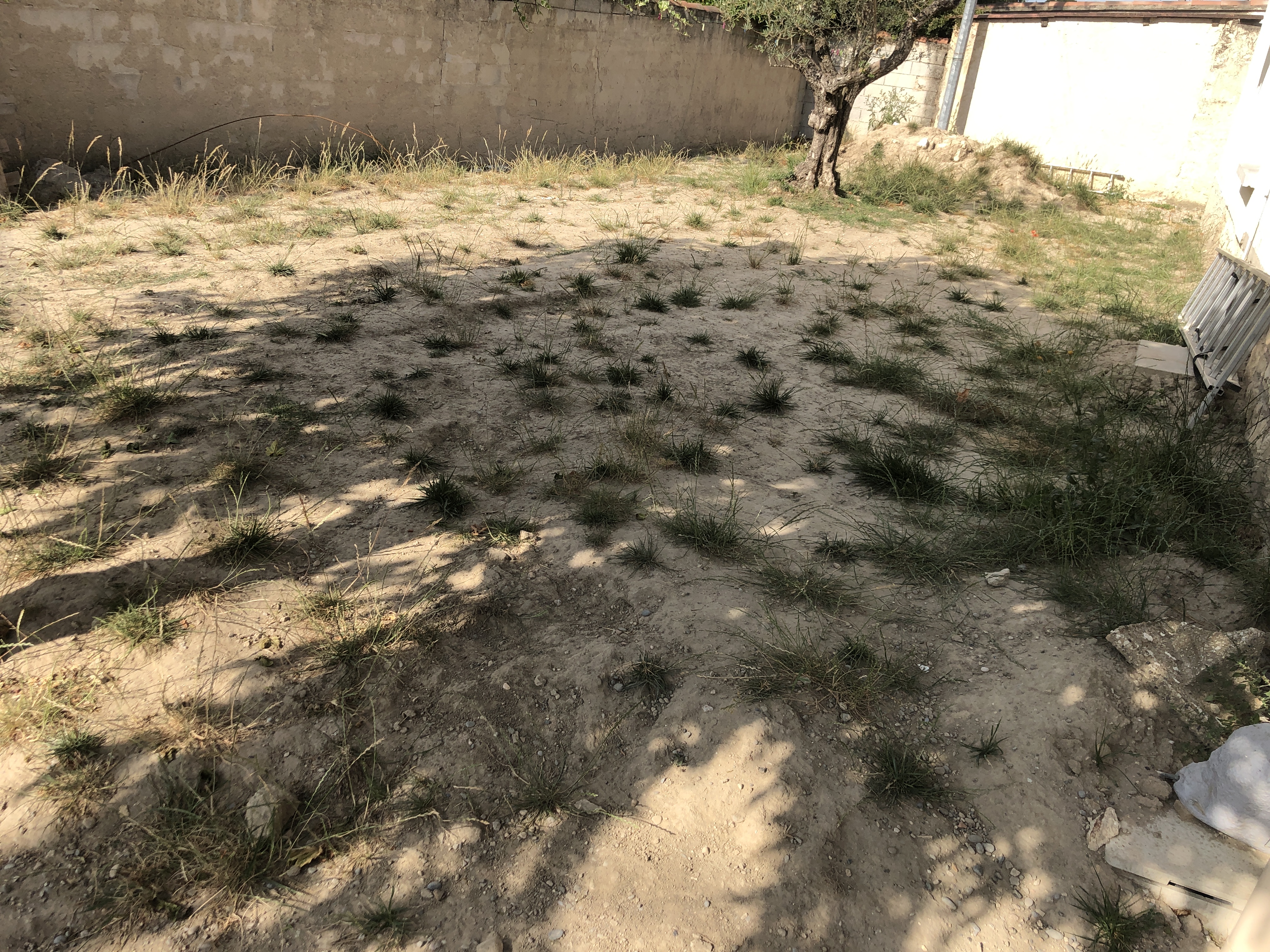 Location minipelle 13 entre particuliers
