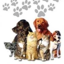 Service : chien Service : chien