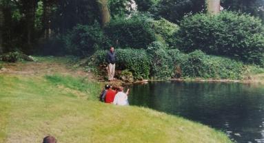 Service : entretien jardin Service : entretien jardin